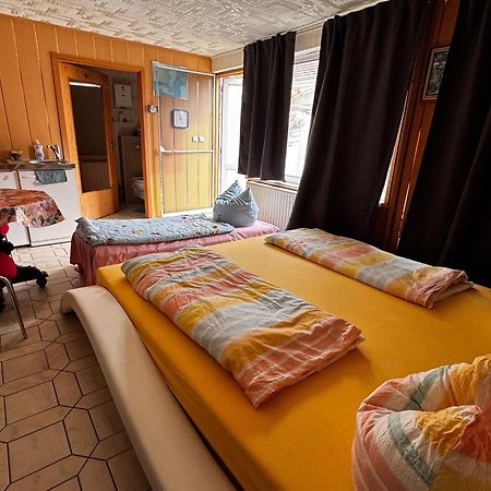 Cozy Unterkunft Im Spreewald Nahe Tropical Islands Golßen المظهر الخارجي الصورة